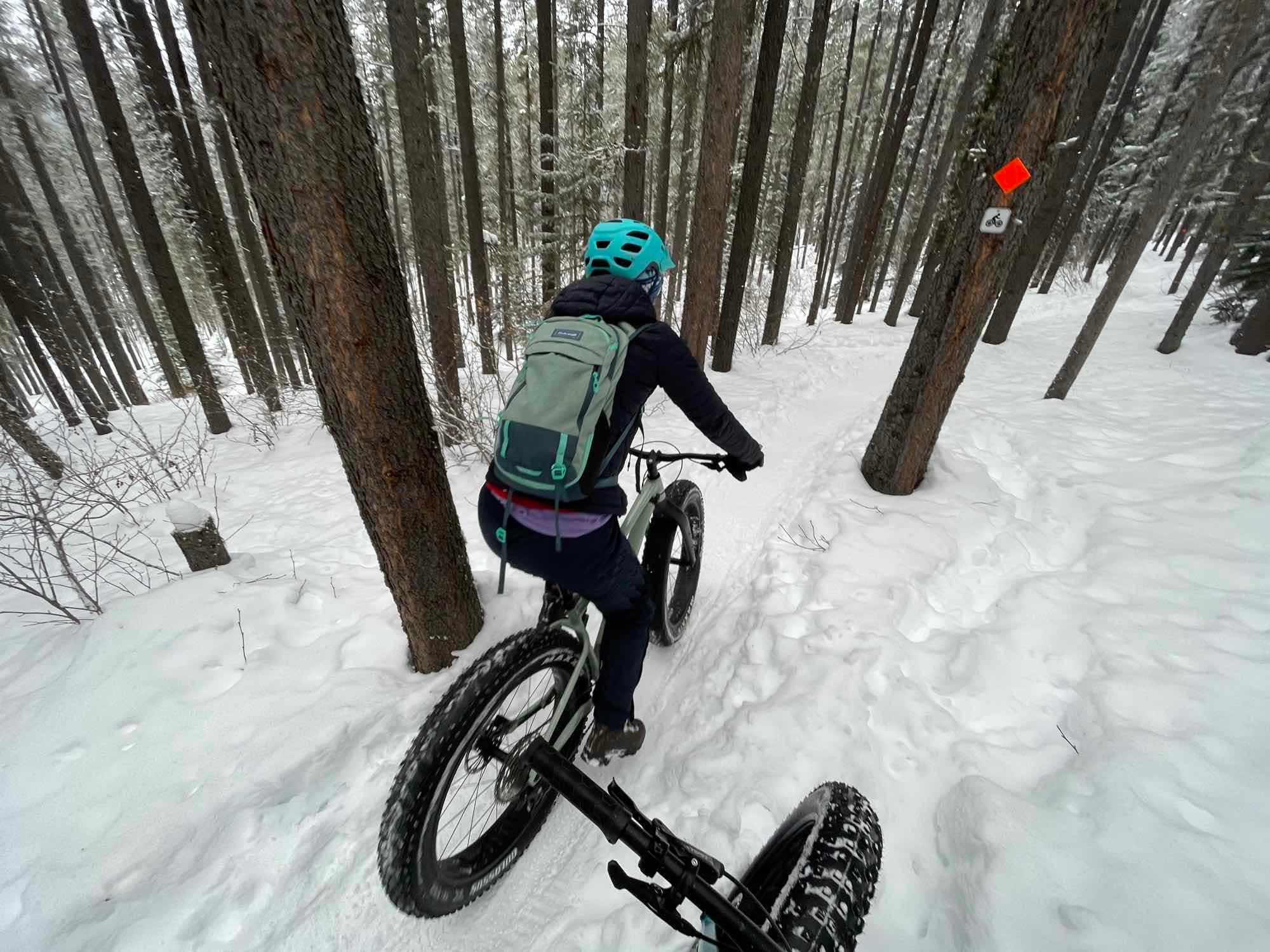 Here's what you need to know about fat biking in the snow - The