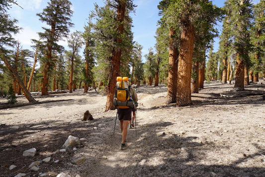 Planning A Future Thru-Hike? Here Are The 14 Hiker Types You'll Definitely Meet
