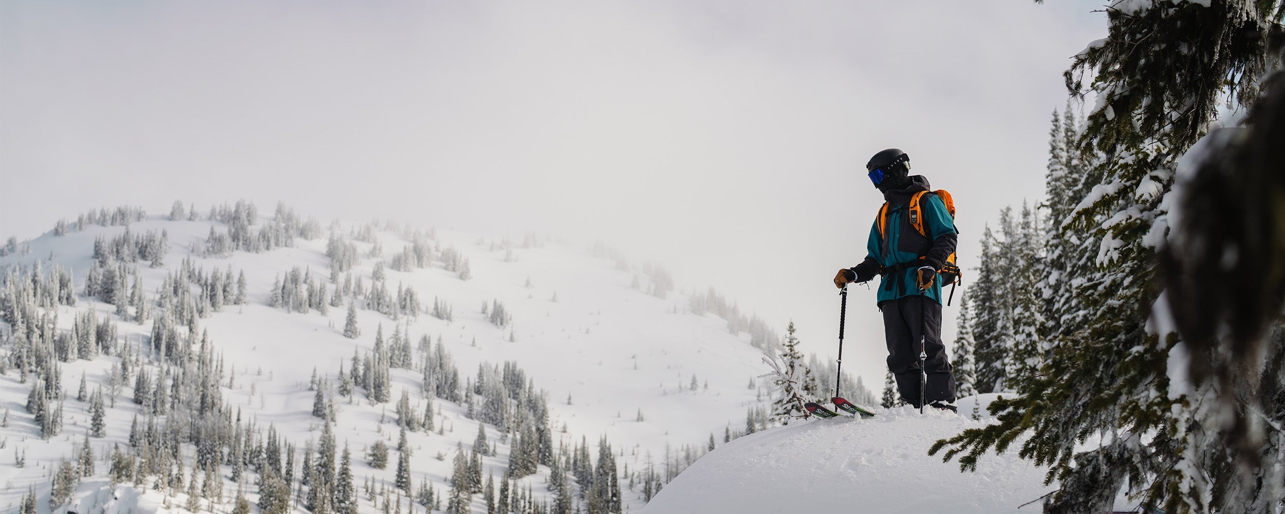 Person skiing on a snowy mountain with trees and a cloudy sky.