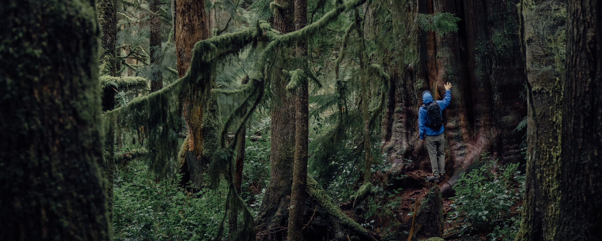 Two friends stroll through a grass path surround by tall green trees while wearing Outdoor Research Outerwear.