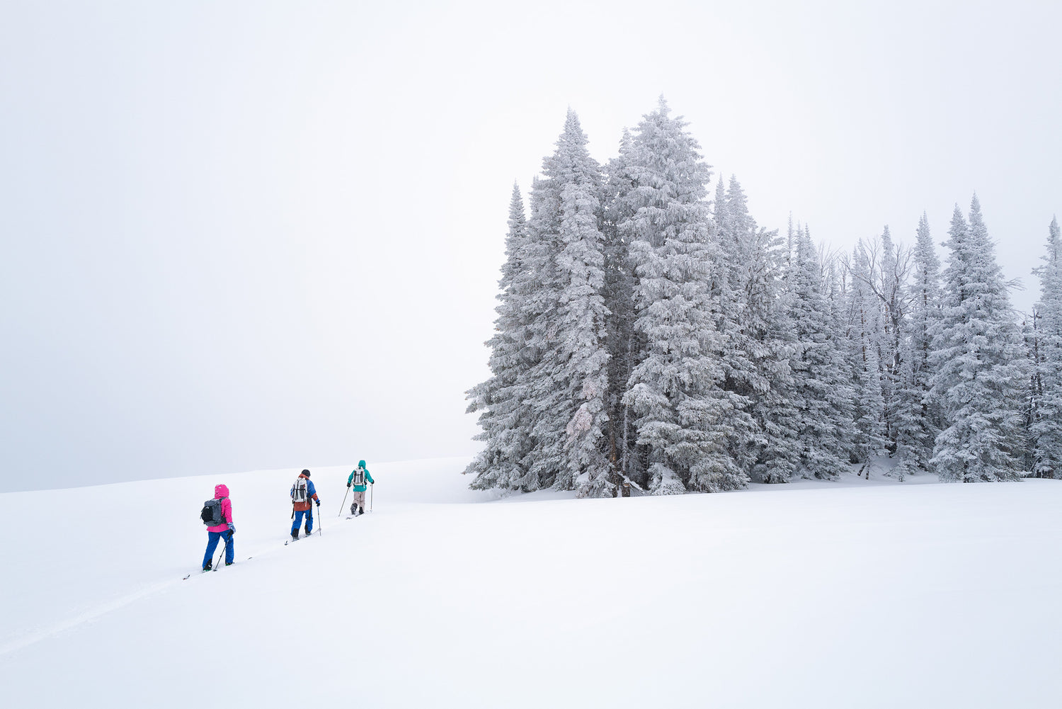 VIP Program Application Outdoor Research