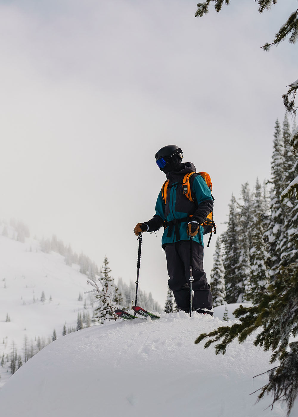 Person skiing on a snowy mountain with trees and a cloudy sky.