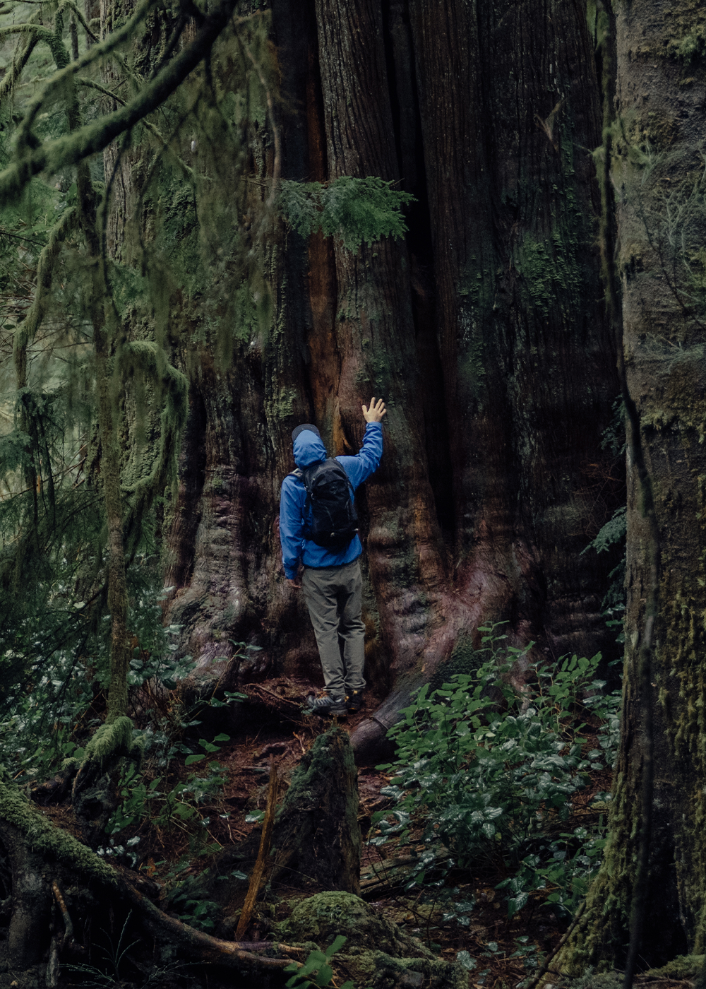 Two friends stroll through a grass path surround by tall green trees while wearing Outdoor Research Outerwear.