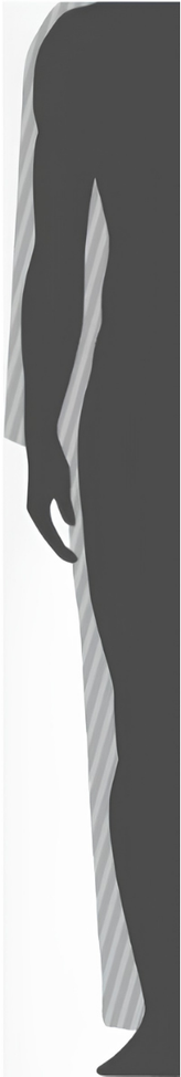 Standard Fit illustration