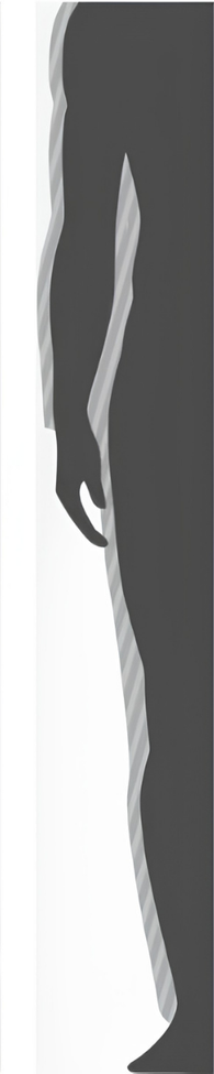 Trim Fit illustration
